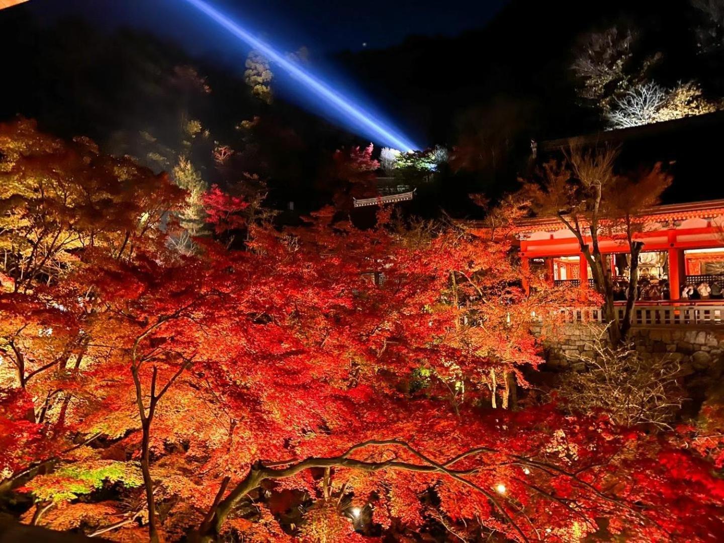 Rinn Kiyomizu Gion كيوتو المظهر الخارجي الصورة